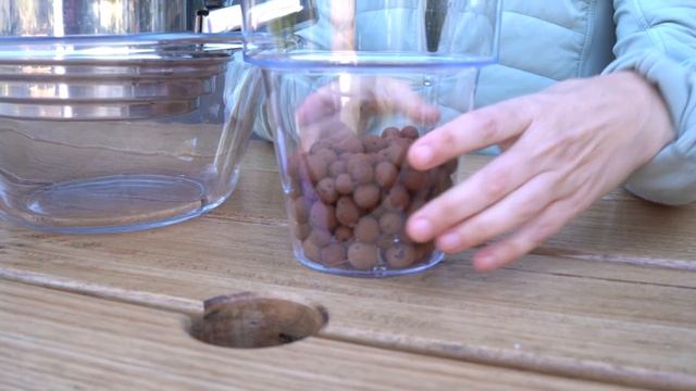 What's LECA? and how to use it! смотреть онлайн