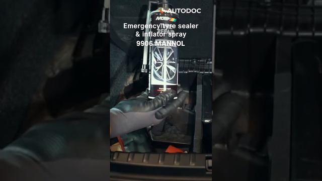 ТОП важных товаров в автопутешествии | AUTODOC #summerwithautodocs смотреть онлайн