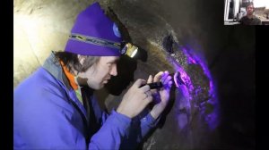 Летучие мыши Сибири и где они обитают