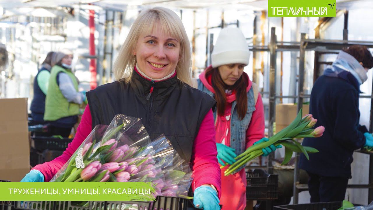 Фотогалерея: Труженицы, умницы, красавицы "Тепличного" смотреть онлайн
