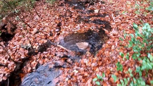Zoom H8 шум воды! (Лучше в наушниках) смотреть онлайн