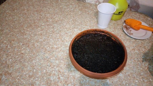 Как Вырастить Арахис В Домашних Условиях И Как Его Посадить смотреть онлайн