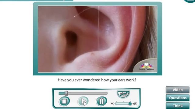 Excel 8th grade Sound and hearing смотреть онлайн