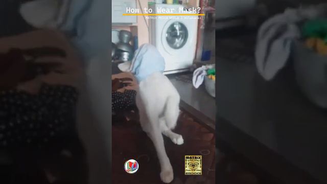 How to Wear Mask 😊? | MATRiX MEDIA WORLD смотреть онлайн