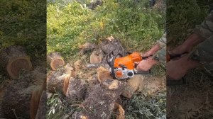 Stihl MS 170 vs  Stihl MS 180
