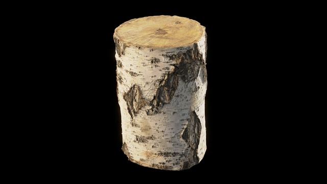 8k birch stump scanned 3d model смотреть онлайн