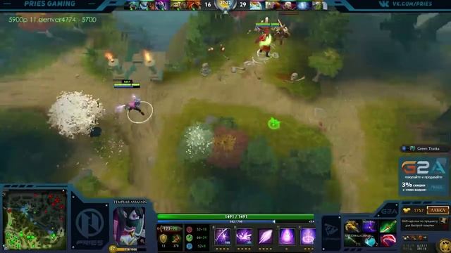 Stray 228  Камера