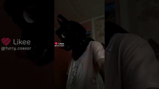 фурри из лайка/furry Ftom Likee