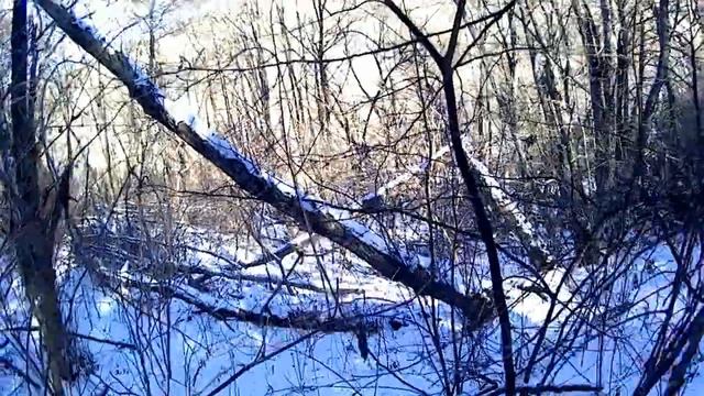 По кабаньим тропам смотреть онлайн