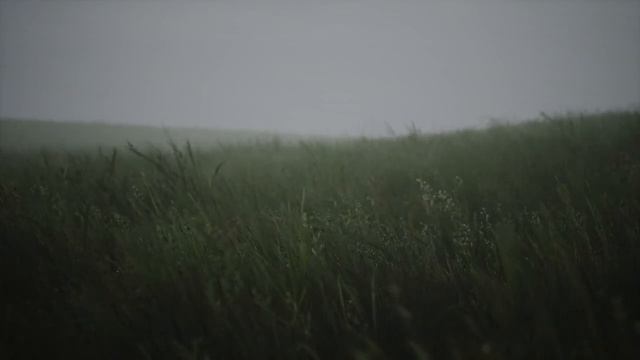 Wavy Lush Green Grass, Live Wallpaper, 1080p, 60fps смотреть онлайн