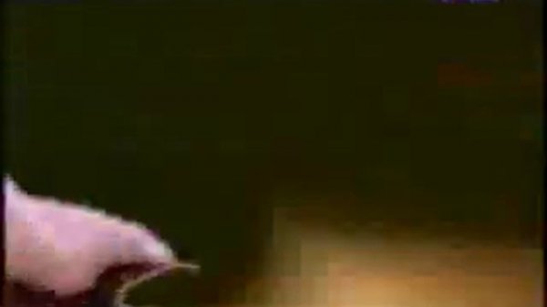 Scooter - Fire [Original Clip]