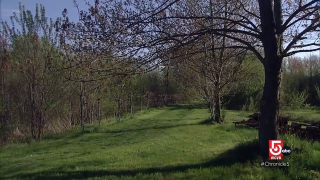 Birdsongs with Richard Walton and signs of spring with Akin-Bak Farm смотреть онлайн