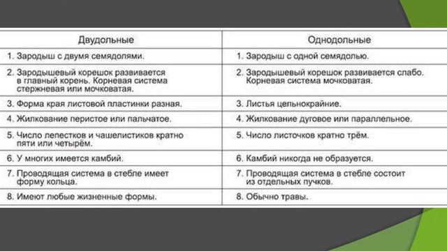 Покрытосеменные: происхождение и классификация смотреть онлайн