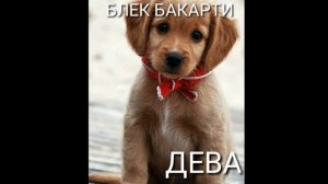 Знаки задиака