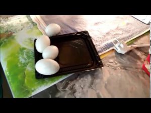 Овоскопирование яиц на 14 день. Выявляем протухшее яйцо. 27.02.20 год