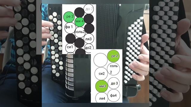 Обучение игре на баяне| гамма до мажор двумя руками смотреть онлайн