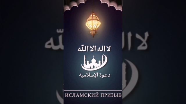 вопросы мусульманам от Апуса и Дэвида Вуда. 1 вопрос смотреть онлайн