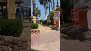 Шарм-Эль-Шейх. Новотель Бич.