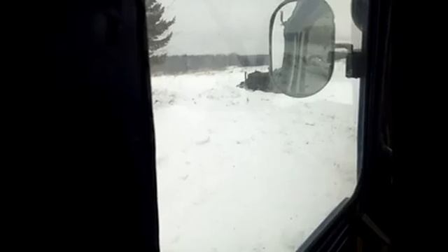 В лес на МтЗ-50\\Валим и вывозим брёвна. смотреть онлайн