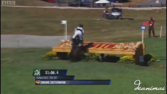 World Equestrian Games 2010|Eventing Highlights смотреть онлайн