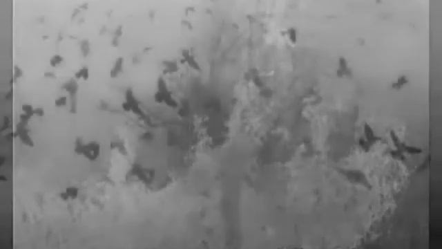 "Песня о солдате" академический хор "Орфей" ДДЮТ г.Армавир смотреть онлайн