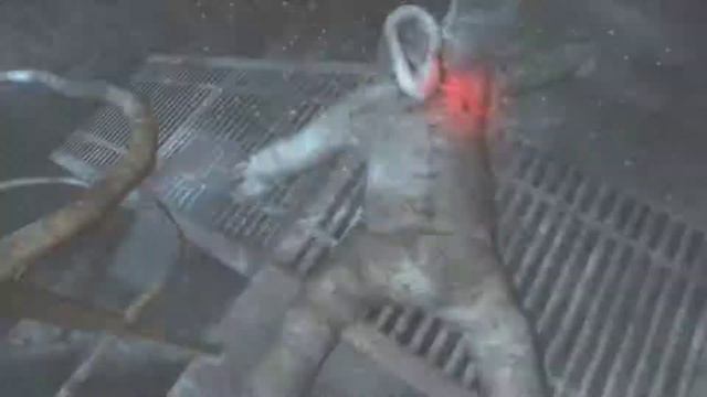 АНАБИОЗ-СОН РАЗУМА!!#1 НАЧАЛО!!(ПРОХОЖДЕНИЕ) смотреть онлайн