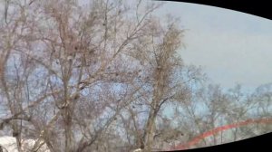 Народные приметы на 22 марта. Ритуалы, обереги, заговоры.