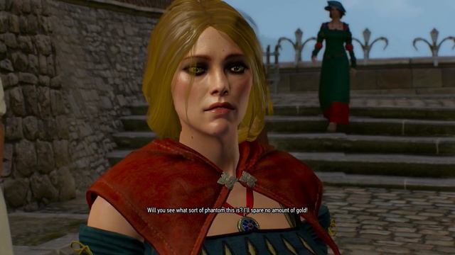 The Witcher 3 Novigrad, Closed City Side Mission смотреть онлайн