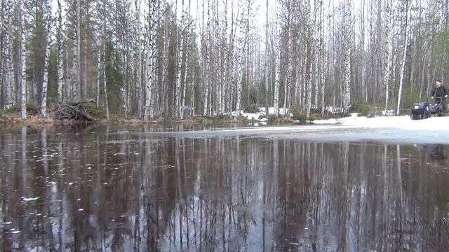 Мотобуксировщик УРАГАН по весенней лесной дороге