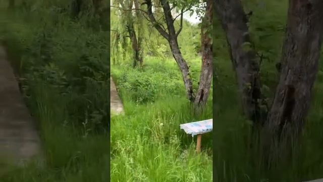 Видео обзор дачи в Дачный-3 смотреть онлайн