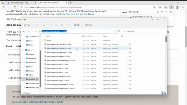 Install Java 17 JDK on Windows 11 in Nepali смотреть онлайн