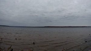 Охота на утку (осень - 2021),дробь №7-32 грамма.