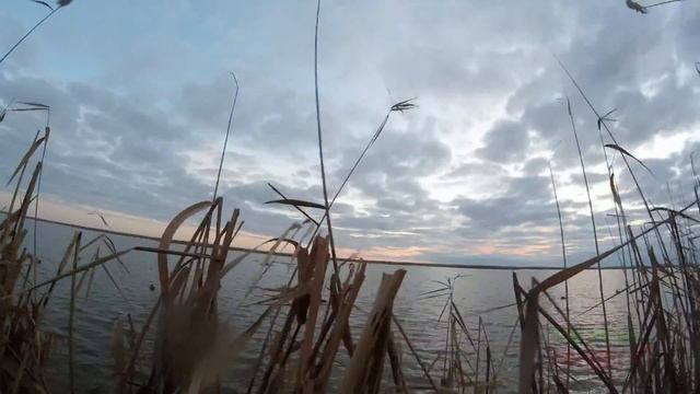 Охота на утку.Каспийские зори часть1 смотреть онлайн
