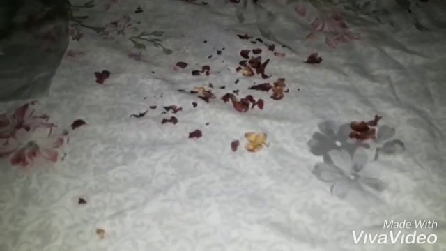 Как приготовить Арахис смотреть онлайн