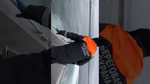 Работает рыбвод смотреть онлайн