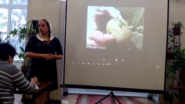 ? Покупать или выращивать картофель самому? Ситуация с выращиванием картофеля в России смотреть онлайн