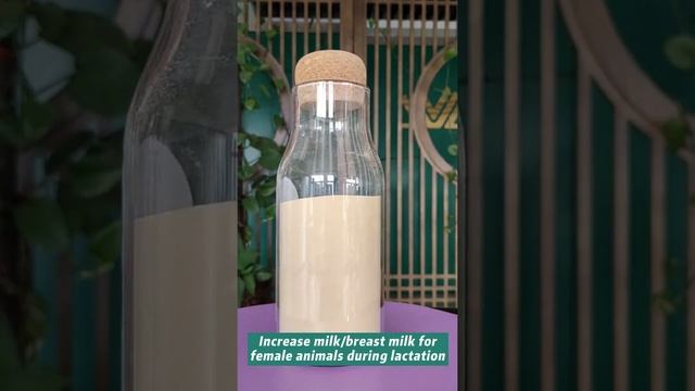 Bacillus licheniformis bacillus subtilis смотреть онлайн