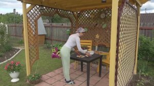 6 соток 4 июня 2023 года Хроника