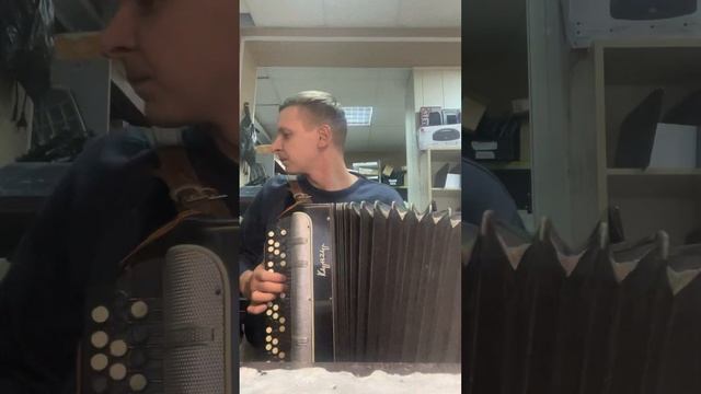 Планета Икс - Лебеди кавер на баяне Фёдор Седин смотреть онлайн