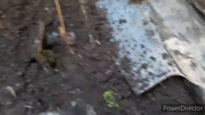 КОП МЕТАЛЛА, НАШЕЛ МНОГО МЕДИ )))