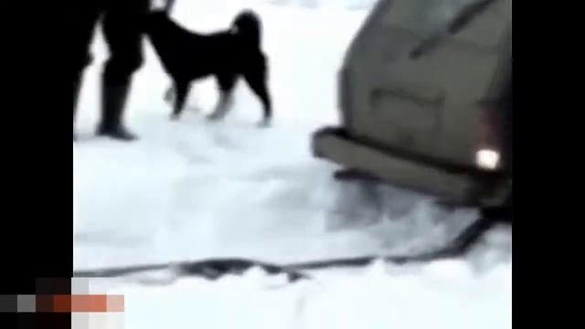 Как не нужно вытаскивать автомобили 2017-2018.... смотреть онлайн