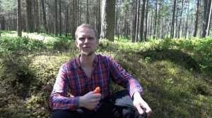 3 ЛУЧШИХ СПОСОБА ЗАЩИТИТЬСЯ ОТ КЛЕЩЕЙ.