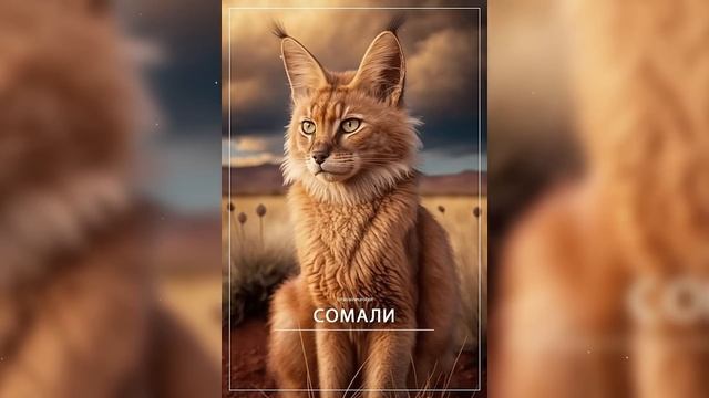 Разные страны мира в виде котиков от нейросети смотреть онлайн