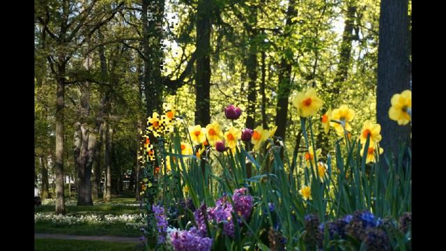 Гатчина расцвела в мае 2019 года! смотреть онлайн