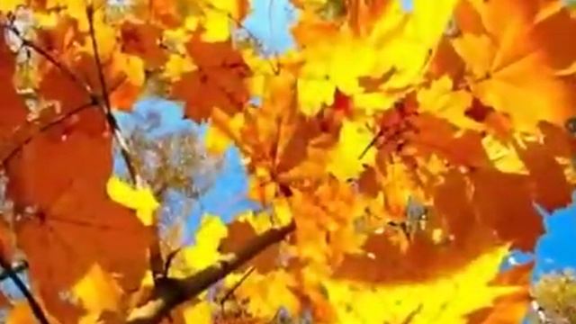 Пастернак Золотая осень смотреть онлайн