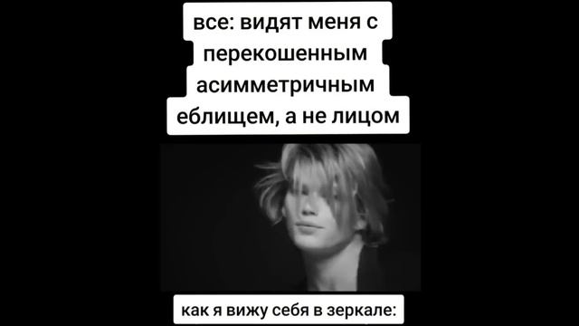 тикток живой | подборка мемов смотреть онлайн