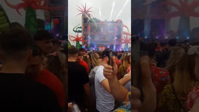 The Groovy cat Elrow Town Edinburgh смотреть онлайн