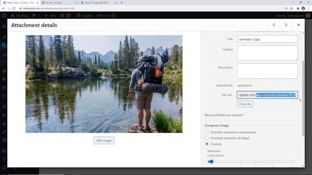 How to Get the URL of Images You Upload in WordPress смотреть онлайн