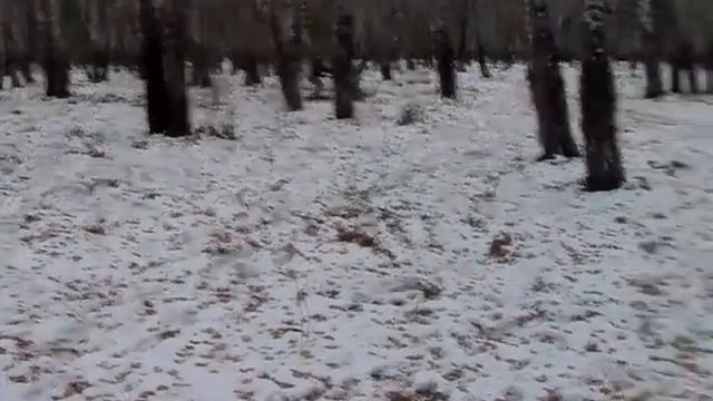 Мотособака. v3 смотреть онлайн