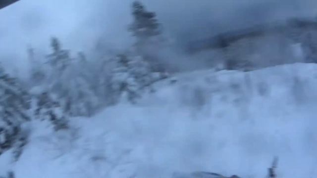 Лесные забавы 3.11.2016 смотреть онлайн